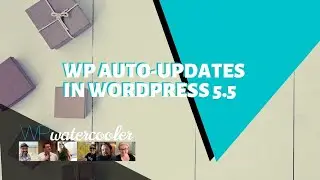 EP354 - WP Auto-updates in WordPress 5.5 - WPwatercooler