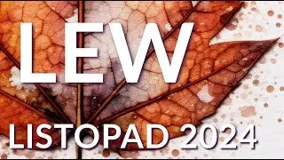 TAROT - LEW LISTOPAD 2024