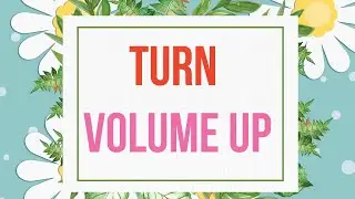 Turn volume up shortcut key in winamp
