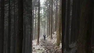 Japan's Kumano Kodo with World Expeditions