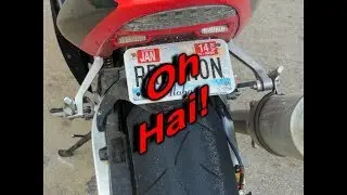 CBR954RR | Daylight Saving Time | Hai Guys!