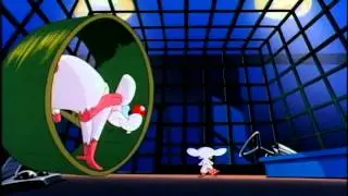 The Pinky and the Brain - Same Thing We Do Every Night