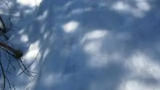 Хорошо живет на свете Винни-Пух