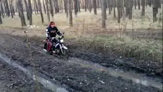 На мопеде в лесу