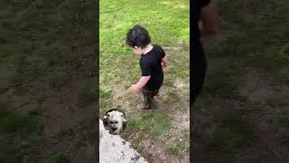 Random Memes I found on the internet #76
