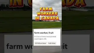 Farm Workers Needed in Canada I Direct Hiring I Buhay Canada #shorts