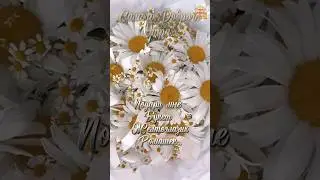 Подари мне букет ромашек... 