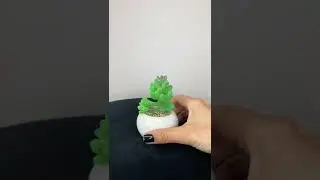 Искусственные растения в кашпо