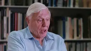 Adventures of a Young Naturalist: The Zoo Quest Expeditions, by David Attenborough (2)
