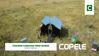 Chicken Caravan Free-Range 1.50x1.80 m - Promo | Copele