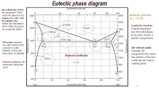 phase diagrams 3 (Eutectic phase diagram)