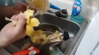 FREEZING A GOLDEN OYSTER MUSHROOM