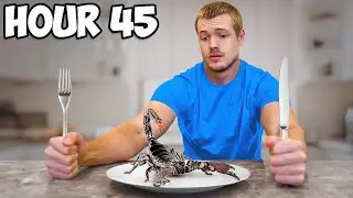 I Survived 50 Hours Only Eating Bugs