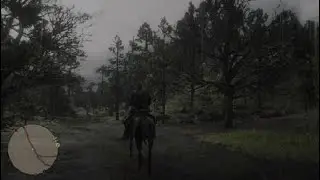 Red Dead Redemption 2_20240128104949