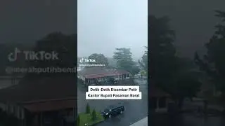 Detik-Detik Pohon Kayu Dibelakang Kantor Bupati Disambar Petir
