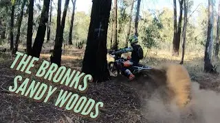 The Bronks New Woods Segment