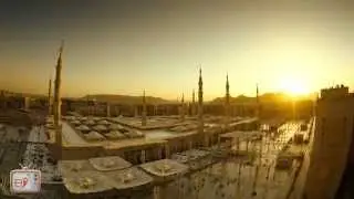 Kutlu Doğum Haftası