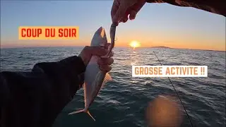 COUP du SOIR à FRONTIGNAN