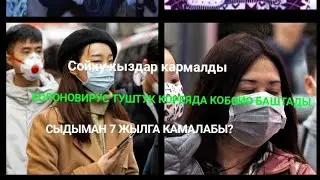 Алматыда кыргыз сойку кыздар кармалды! Туштук Кореяда короновирус жайылуула!