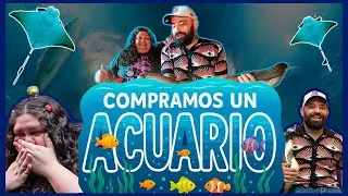 Compramos un ACUARIO