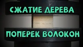 Сжатие древесины поперек волокон | Эксперимент | Лабораторная работа