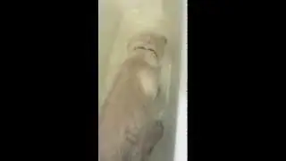 Первый заплыв