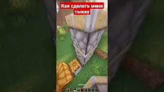 Мини тыква 