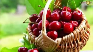 Жизнь под соусом: спелая вишенка