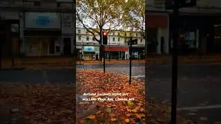 Autumn colours inside out 🍁🍂Holland Park Ave, London W11📍#londonphotographer #london #fypシ #fyp