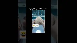 الفرق بين العقل و القلب 😂❤️🧠