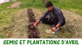 QUE SEMER ET PLANTER EN AVRIL ?