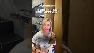 Квартира мечты за 14 дней? РЕАЛЬНО вместе с Адвекс!