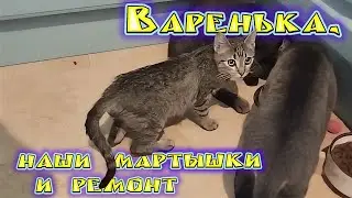 Варенька, наши мартышки и ремонт.
