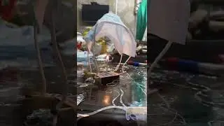 зацени