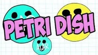Обзор браузерной игры PetriDish