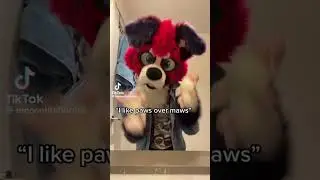 Paws or Maws? comment below! 
