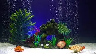 Дизайн аквариума видео.Риф морской для аквариума Marvelous Aqva, Ж-04.