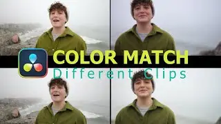 color match clips in DaVinci Resolve Tutorial