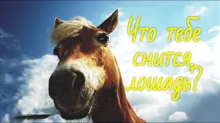 Что тебе снится, Лошадь? Стихи читает автор Мария Шадрина. Философские стихи. 