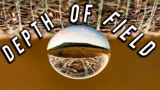 Depth Of Field in Photography | Simon Anderson Photography