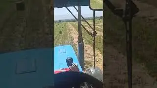 отзывы