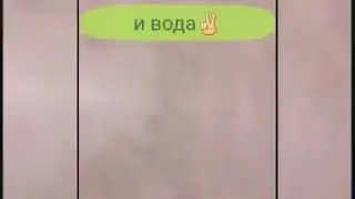 Чистим диван