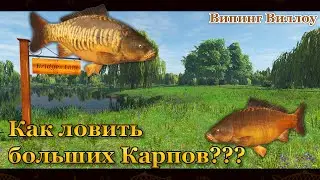 Fishing Planet. How to catch big carp. Big Carp. (Weeping Willow)