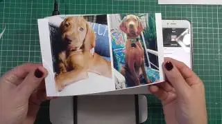 Photo Printing for Project Life