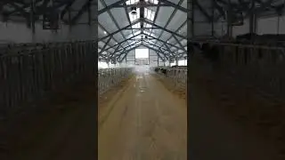 Животноводческая ферма на 1200 голов в Республике Татарстан