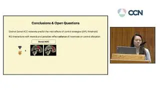 Contributed Talks 3 - CCN 2024