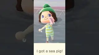 Why Nintendo Should Hire Me
