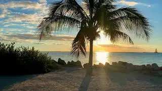 Laid Back - Sunshine Reggae ♫ New Club Dance Remix 🌴 Best Of Tropical House Music🌱