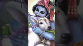 Happy Krishna Janmasthami To All
