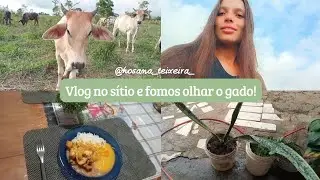 Vlog no sítio e fomos olhar o gado!🐮🥰❤️